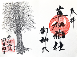 草加神社の御神木の御朱印状
