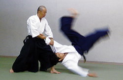 合気道特集・増田道場